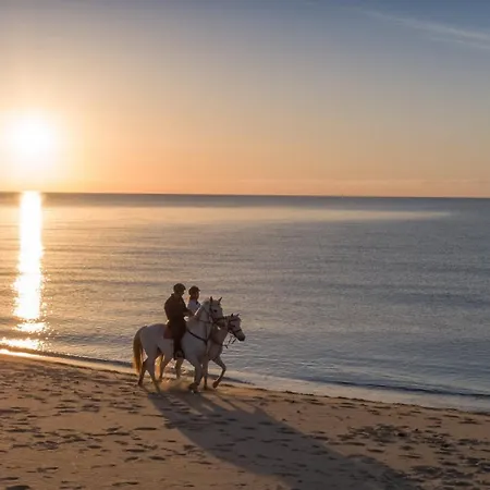 Вилла V20 Sofia Коста Рей